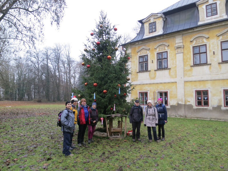 Cerna za Bory 2025-4